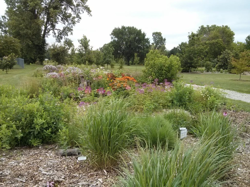 TOMLINSON ARBORETUM