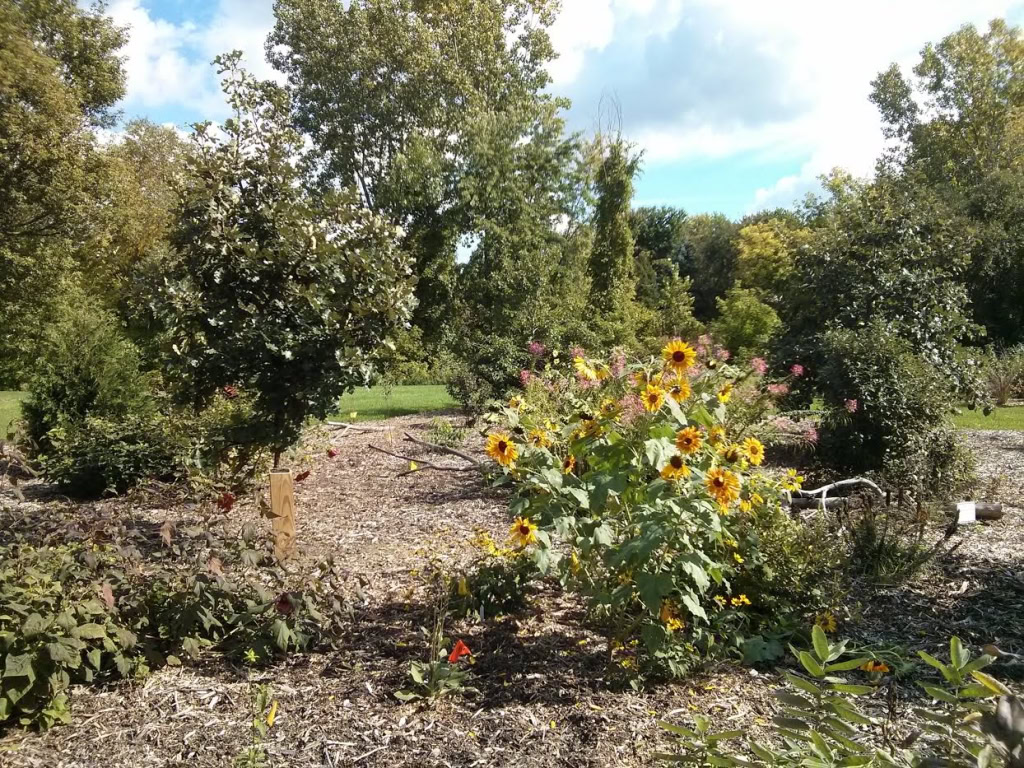 TOMLINSON ARBORETUM