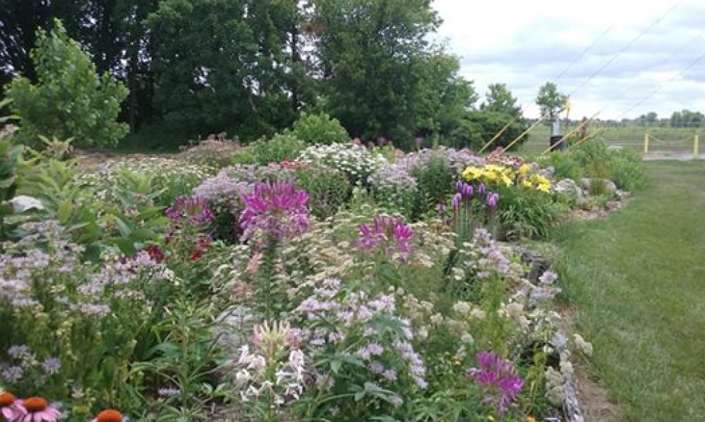 TOMLINSON ARBORETUM