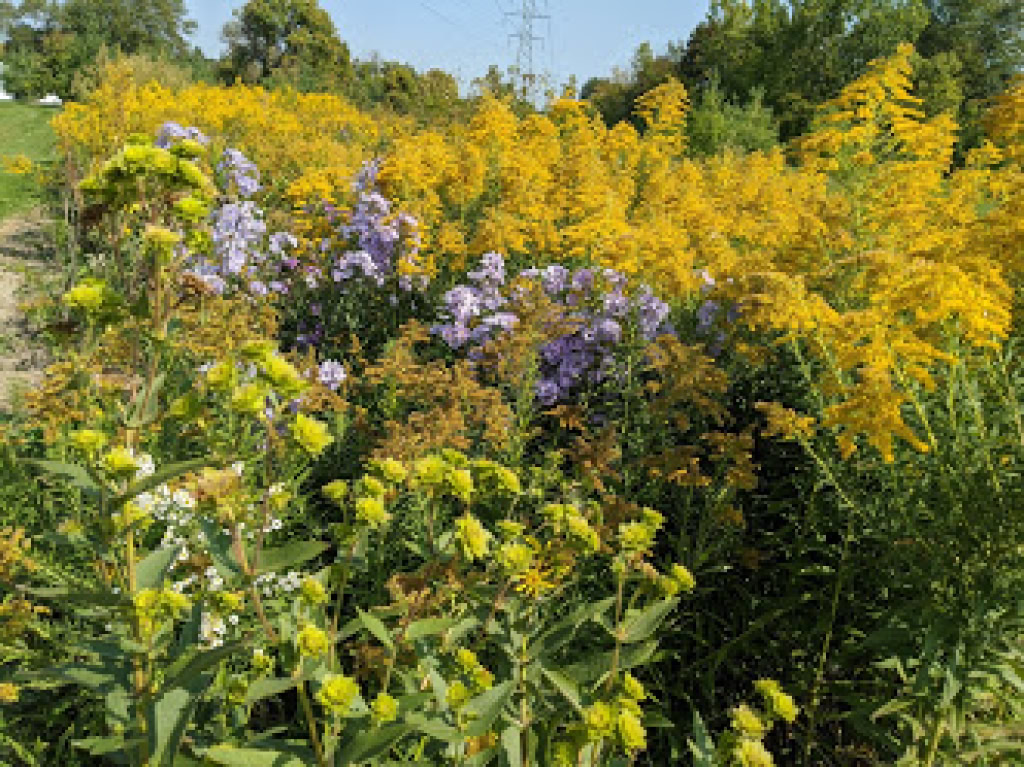 CLINTON TWP ARBORETUM