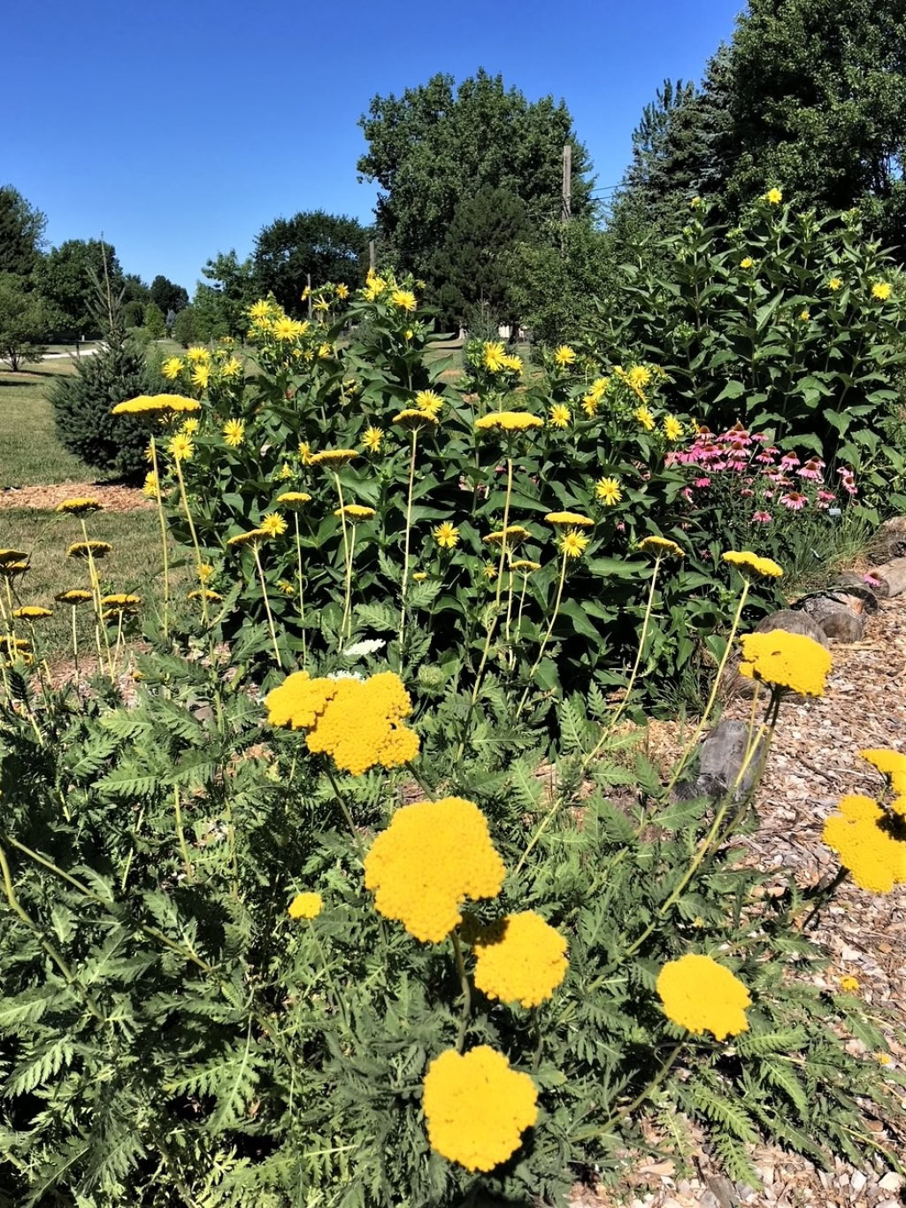 CLINTON TWP ARBORETUM